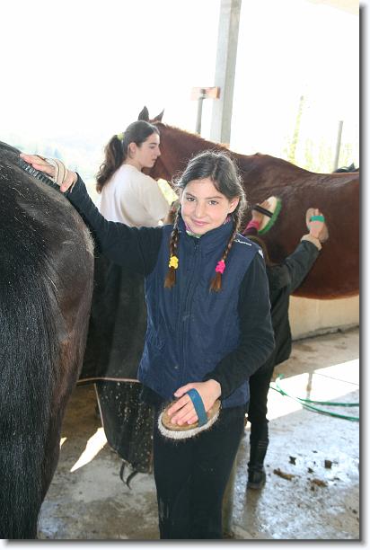 Foto successiva