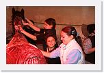 Cir_Day_0048 * 3456 x 2304 * (3.2MB)