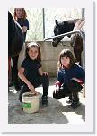 Cir_Day_0159 * 2304 x 3456 * (3.99MB)