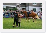 IMG_5113 * 3504 x 2336 * (5.14MB)