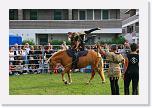 IMG_5136 * 3504 x 2336 * (4.66MB)