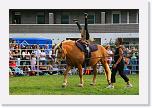 IMG_5173 * 3504 x 2336 * (4.78MB)