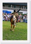 IMG_5196 * 2336 x 3504 * (5.12MB)