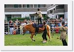 IMG_5236 * 3504 x 2336 * (4.96MB)