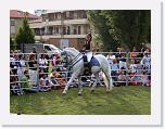 FURIOSO * 2276 x 1716 * (1.15MB)