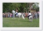IMG_3704 * 3504 x 2336 * (5.18MB)