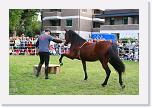 IMG_4971 * 3504 x 2336 * (5.72MB)