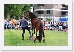 IMG_4976 * 3504 x 2336 * (5.61MB)