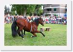 IMG_4982 * 3504 x 2336 * (5.68MB)