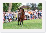 IMG_4988 * 3504 x 2336 * (5.65MB)