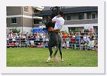 IMG_5004 * 3504 x 2336 * (5.16MB)