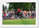 IMG_5025 * 3504 x 2336 * (4.73MB)