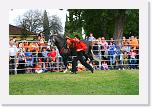 IMG_5026 * 3504 x 2336 * (4.7MB)