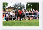 IMG_5027 * 3504 x 2336 * (4.95MB)