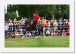 IMG_5048 * 3504 x 2336 * (4.52MB)