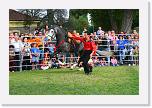 IMG_5049 * 3504 x 2336 * (5.01MB)