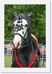 IMG_5053 * 2336 x 3504 * (4.41MB)