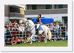 IMG_5309 * 3504 x 2336 * (4.52MB)