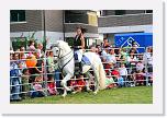 IMG_5310 * 3504 x 2336 * (4.64MB)