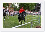 IMG_5369 * 3504 x 2336 * (4.97MB)