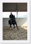 Stage_Ventura_0155 * 2304 x 3456 * (2.95MB)