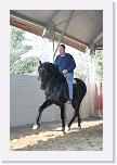 Stage_Ventura_0177 * 2304 x 3456 * (3.51MB)