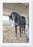 Stage_Ventura_0216 * 2304 x 3456 * (3.35MB)