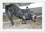 Stage_Ventura_0222 * 3456 x 2304 * (3.18MB)